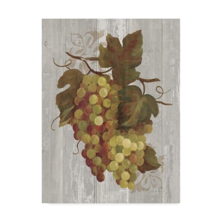 Silvia Vassileva 'Autumn Grapes Iv On Wood' Canvas Art,24x32